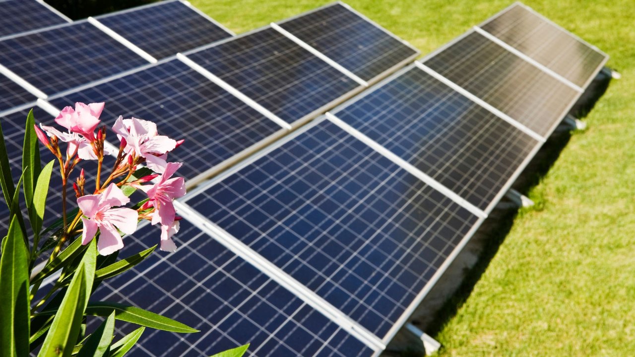 Wydarzenie: „Dzień Bezpiecznej Fotowoltaiki z Watbox”